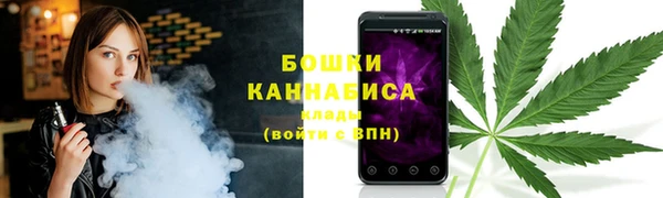 гашик Бронницы
