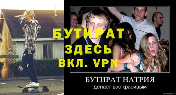 гидра Бородино