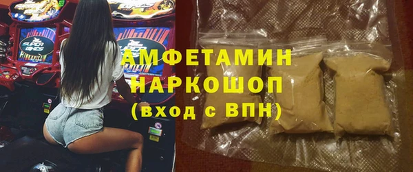 гидра Бородино
