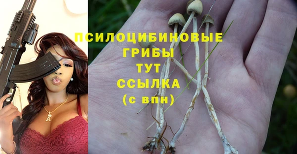 гашик Бронницы