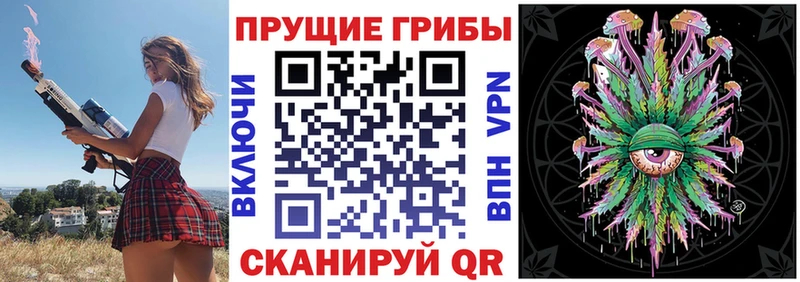 что такое наркотик  Бузулук  Псилоцибиновые грибы Cubensis 
