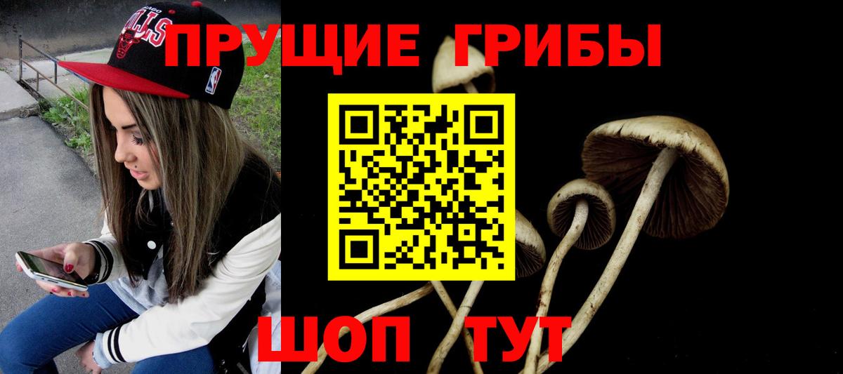 Бузулук  Псилоцибиновые грибы Psilocybine cubensis  Вход с VPN 